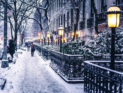 Зимний Нью-Йорк: Центральный парк в белоснежном убранстве