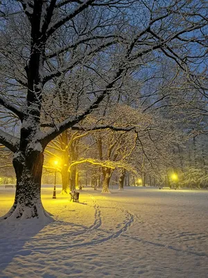 Зимняя красота: Фотографии с разными разрешениями