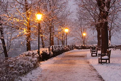 Изысканные фотографии зимнего пейзажа: JPG для вашего выбора