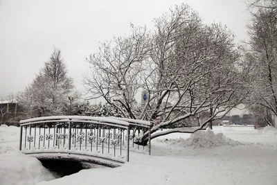 Фотографии снежного уюта в парке: Выберите свой формат
