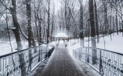 Зимняя сказка: Фотографии парка в WebP формате