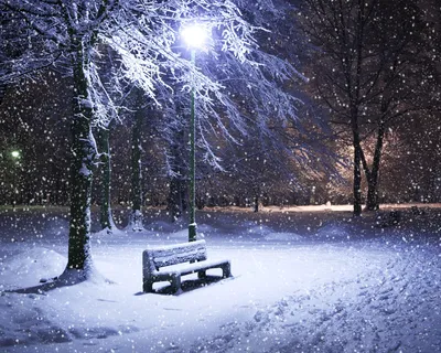 Фото зимнего уюта: Выберите формат – JPG, PNG или WebP