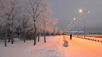 Зимние моменты в парке: Изображения в различных размерах
