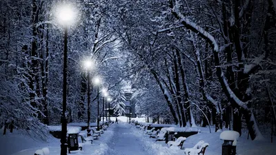 Зимний рай в парке: Фото в формате WebP для экономии места