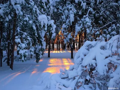 Зимние красоты в фотографиях: JPG, PNG, WebP