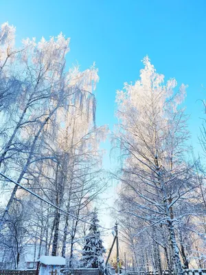 Фотографии зимних пейзажей: JPG, PNG, WebP для скачивания