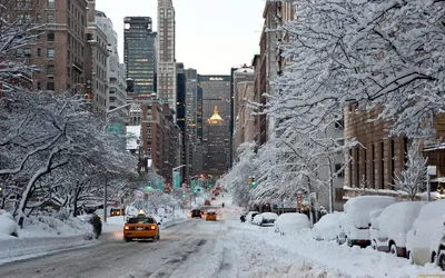 Зимняя красота в США: Фото великолепных сцен