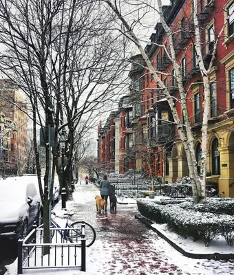 Волшебство американской зимы: Фотографии для загрузки в любом формате