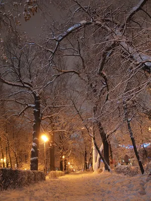 Зимний вечер: Выберите размер и скачайте красивые фотографии