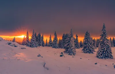 Зима вечер фотографии