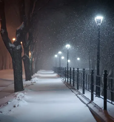 Фотографии зимнего вечера: Выбирайте формат и размер по вашему желанию