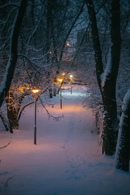 Фотографии зимнего вечера: Выберите формат и размер изображения
