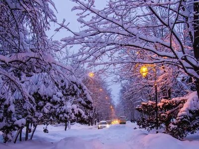 Вечерние моменты зимы: Скачивайте фото в JPG, PNG, WebP