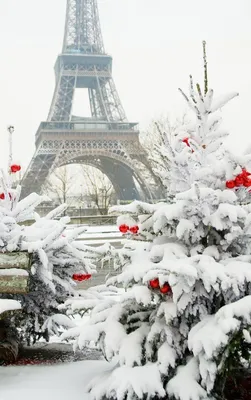 Изысканные моменты: Зимние фотографии Франции
