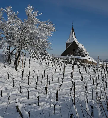 Зимние пейзажи во Франции: Фотографии для скачивания