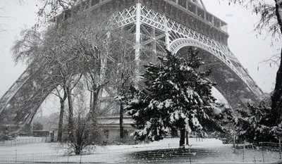 Очарование зимней природы Франции в изображениях