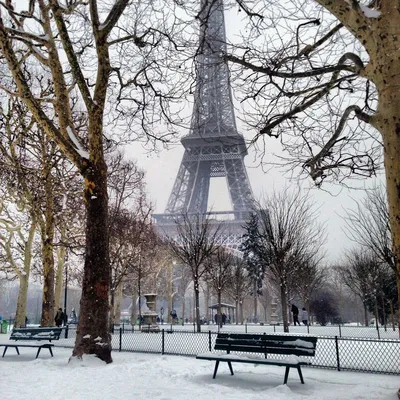 Фотографии Зима во Франции: Очарование холодного времени года