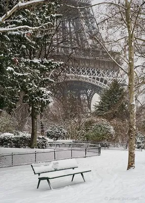 Фотографии зимнего волшебства во Франции