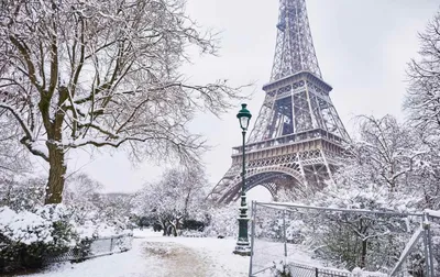 Зима во Франции: Очарование морозных моментов