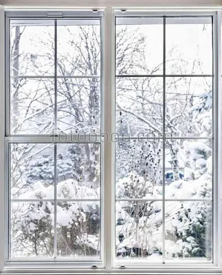 Фотоальбом Зима за окном: Ваши любимые снежные моменты