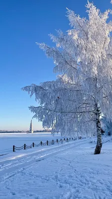 Зимнее утро: фотографии, чтобы вдохновиться