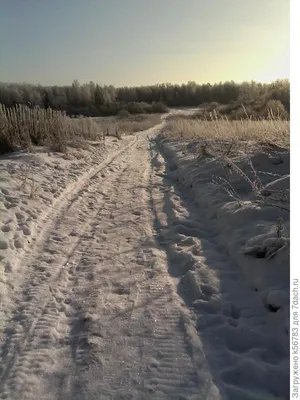 Картинка зимнего пейзажа: Скачать бесплатно в JPG