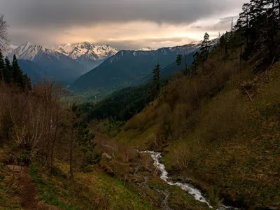 Скачать бесплатно фотографии зимнего леса в высоком качестве.