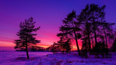 Зимнего заката фотографии