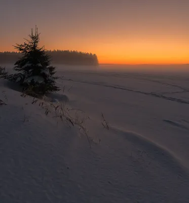 Фоткa заката снежными горами на заднем плане