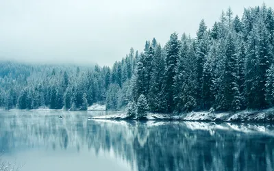 Удивительные пейзажи Зимней реки