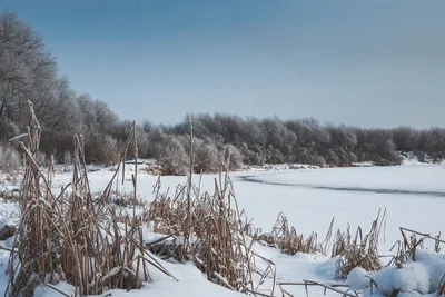 Великолепный арт с зимней рекой