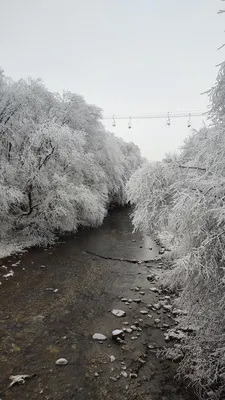 Фото холодной зимней реки в Full HD: погружение в мир зимней сказки