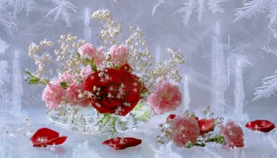 Великолепие зимних роз: выберите свой любимый формат