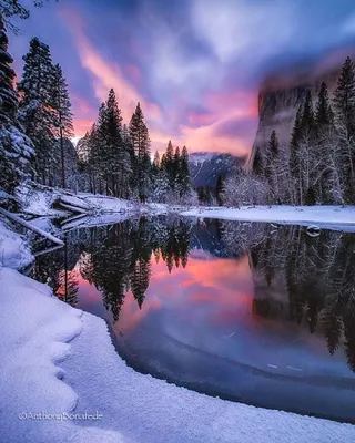 Зимние чудеса: Красивые природы зимой