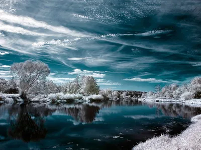 Зимний фотоальбом: Фотографии природы зимой