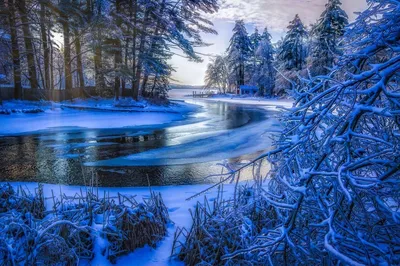 Фотографии зимнего великолепия: Зимние природные красоты