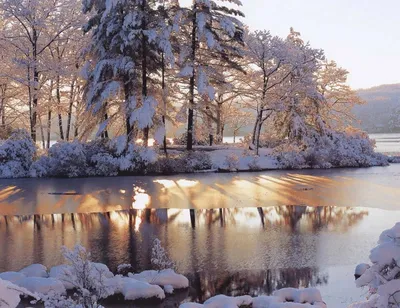 Ледяные шедевры зимней природы: Фото галерея