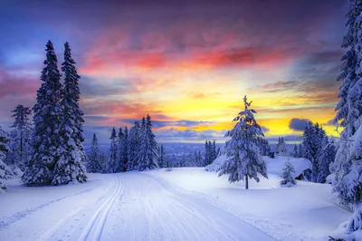 Зимний рай: Фотографии заснеженных природных уголков