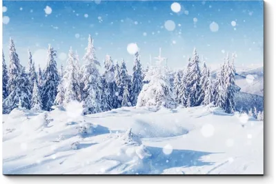 Окунитесь в атмосферу зимнего леса: представлено на фото