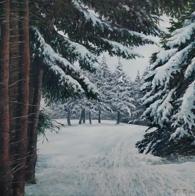 Искусство зимнего леса: представленное на фото