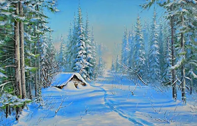 Зимний пейзаж леса  фото