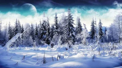 Зимняя сказка: красота и тишина лесного пейзажа 