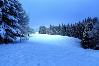 Белоснежный рай: красота и спокойствие зимнего пейзажа 