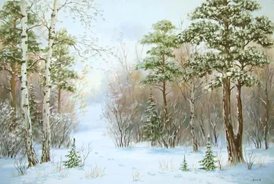 Потрясающее изображение зимнего леса в Full HD разрешении