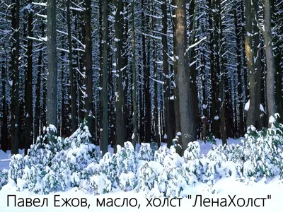 Удивительная гифка с зимним пейзажем леса