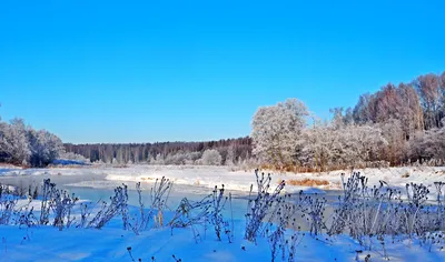 Снежные дива: красота зимнего фотопейзажа