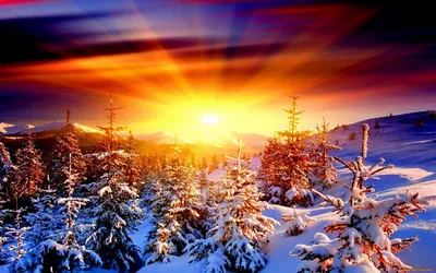 Зимнее утро в объективе: фото-путешествие в мир рассветного волшебства