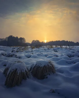 Фотк зимнего рассвета: волшебство природы