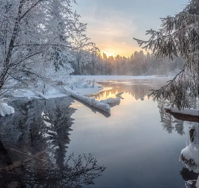 4K изображение зимнего рассвета