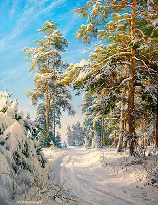 Зимний лес: Высококачественные изображения в JPG